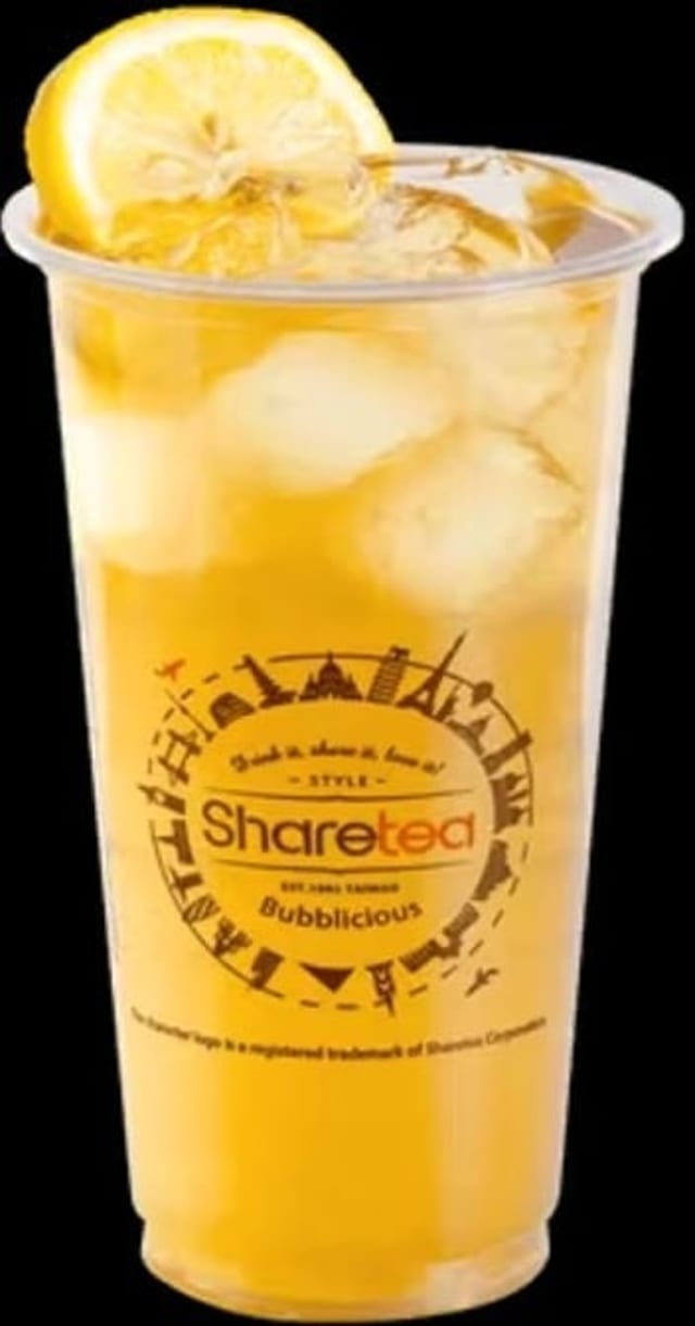 Wintermelon Lemonade (21).